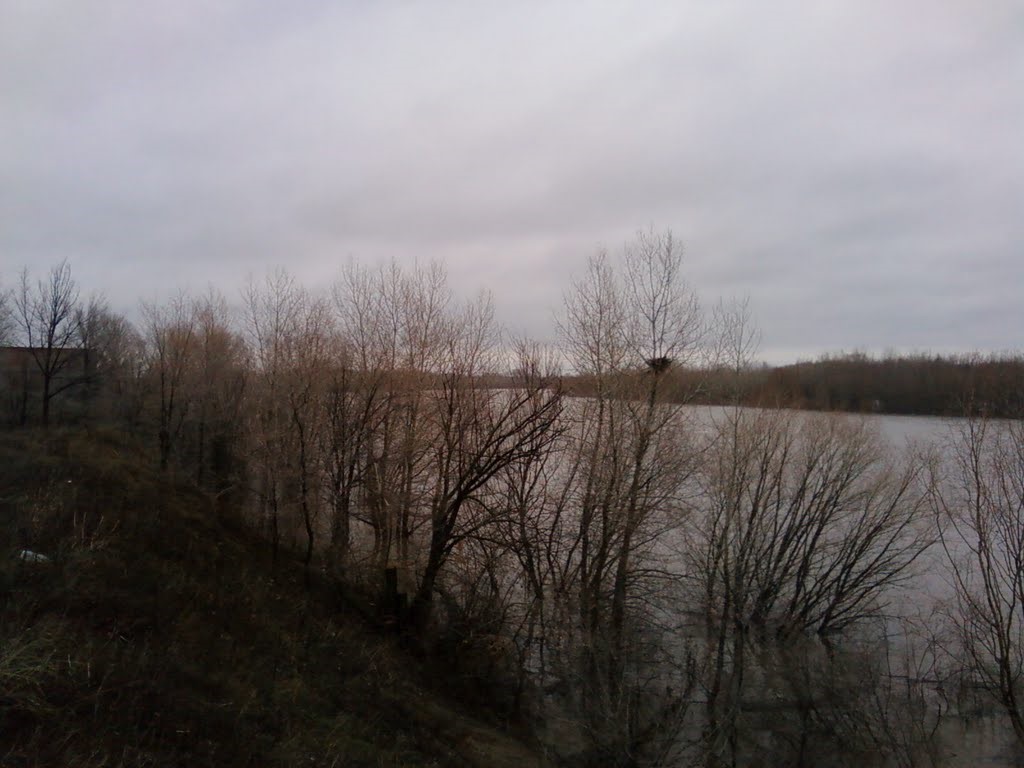 Разлив Урала в середине апреля возле города Уральск